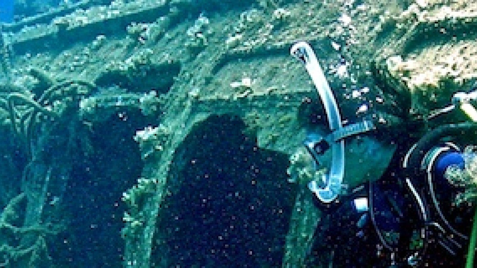 Tauchgang an einem Wrack vor dem Hafen von Las Palmas: Wracktauchen Tauchgänge der Tauschulen in Gran Canaria