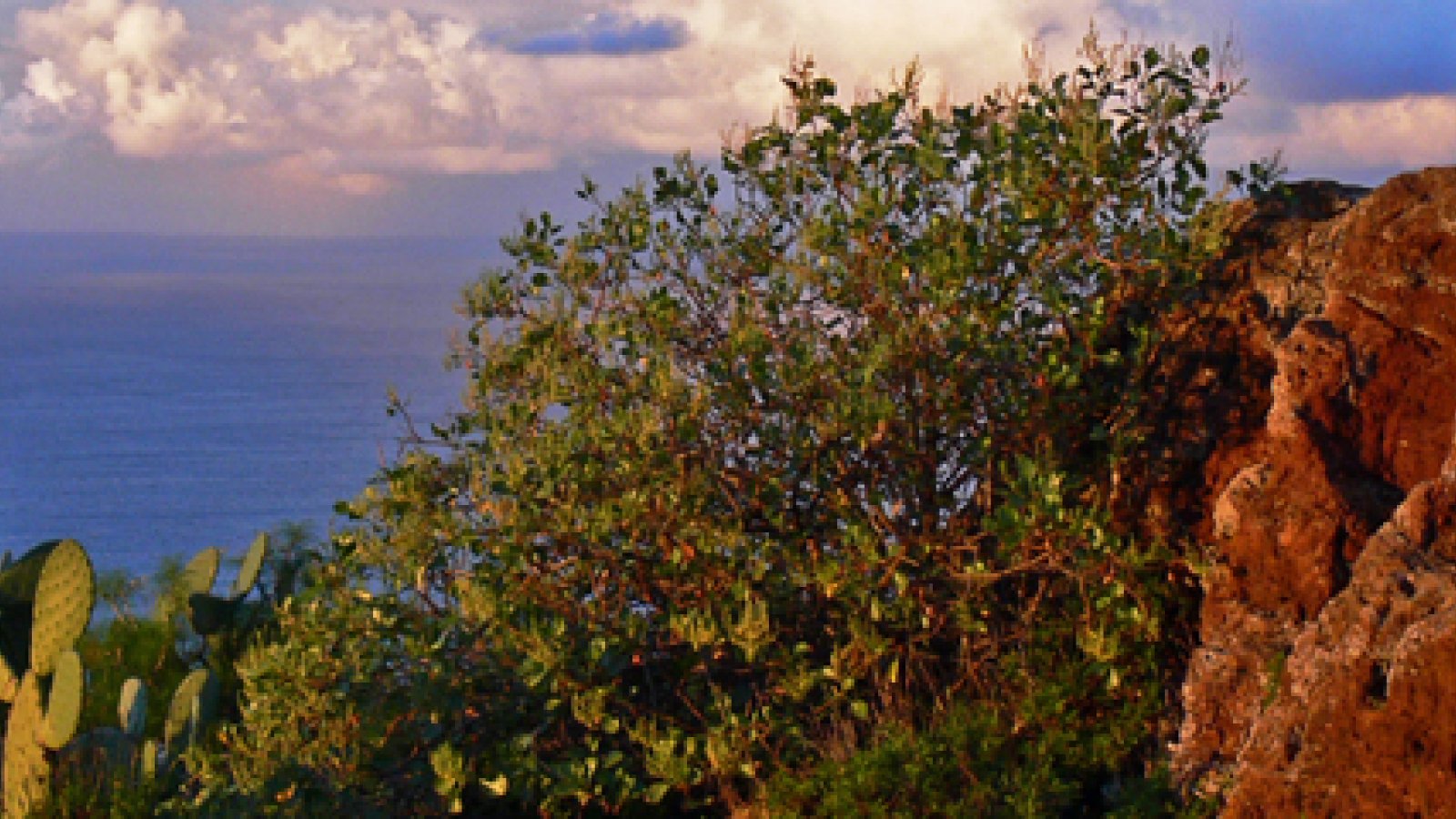 sightseeing-gran-canaria-tagoror-gallego10.jpg