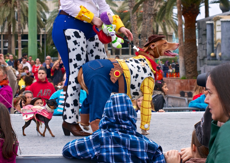 carnaval-las-palmas-6.jpg