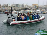 Tauchausflüge ab Hafen Las Palmas zu den besten Tauchspots