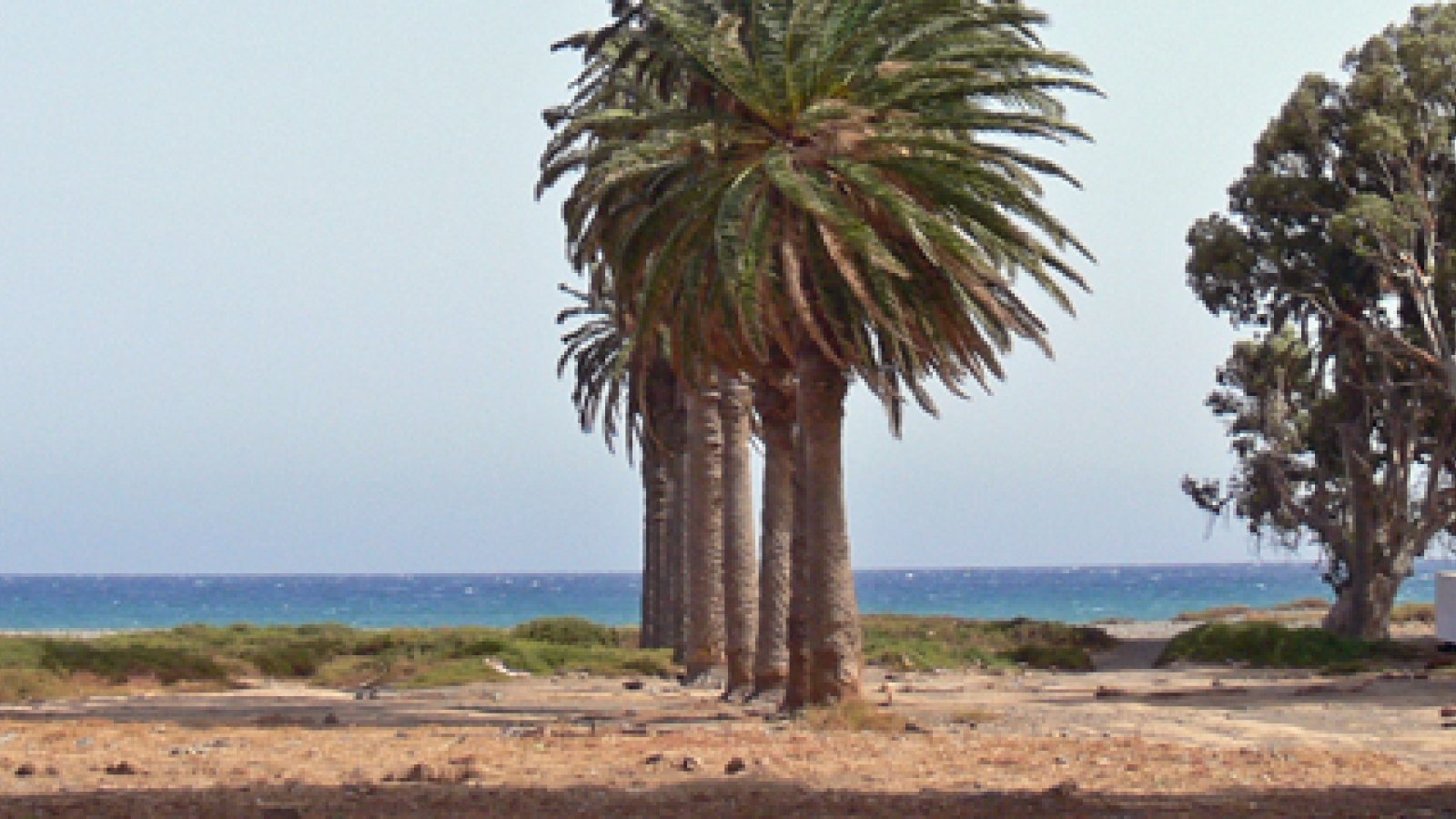 surfen-gran-canaria-castillo-romeral.jpg