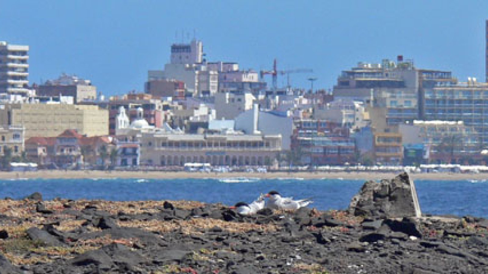 surfen-gran-canaria-la-punta.jpg