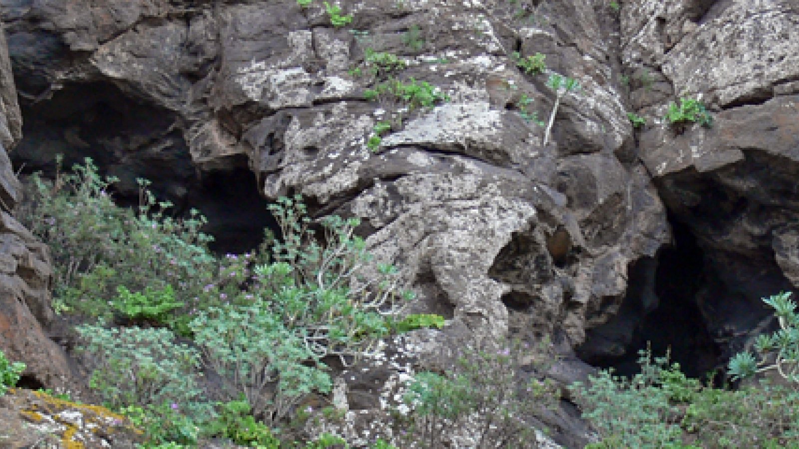 sightseeing-gran-canaria-verdugado11.jpg