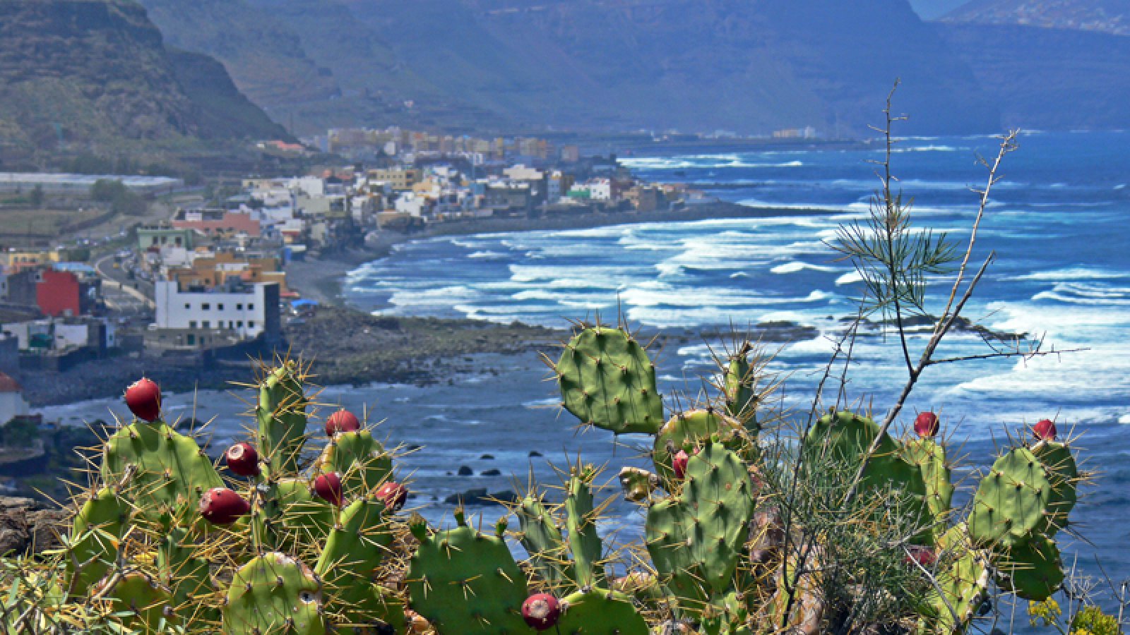 surfen_gran_canaria_nordkueste15.jpg