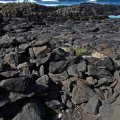 Wellenreiten Bilder Gran Canaria: Surfspot Las Monjas / Las Palmas