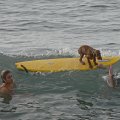 Surfaction an der Nordküste Gran Canarias