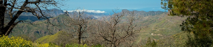 720-cruz-de-tejeda-panorama.jpg