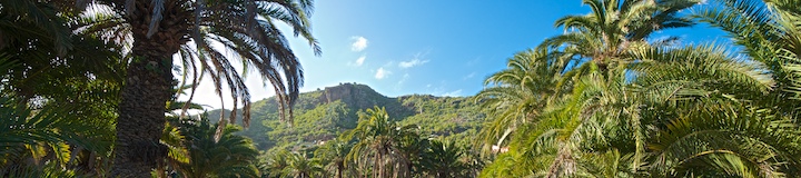 720-jardin-botanico-las-palmas.jpg